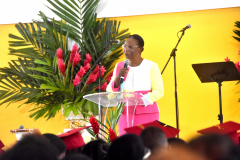 charset=Ascii binary comment