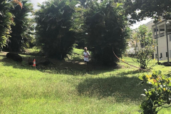 WhatsApp-Image-2022-10-23-at-10.20.21-9