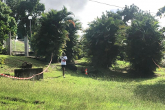 WhatsApp-Image-2022-10-23-at-10.20.24-16