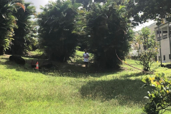 WhatsApp-Image-2022-10-23-at-10.20.24-3