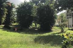 WhatsApp-Image-2022-10-23-at-10.20.24-5