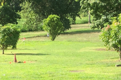 WhatsApp-Image-2022-10-23-at-10.21.41-2