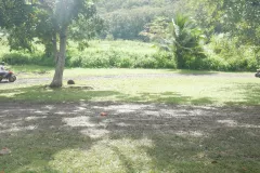 P1050573